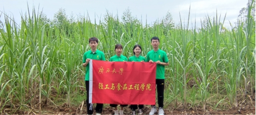 美女av影片
